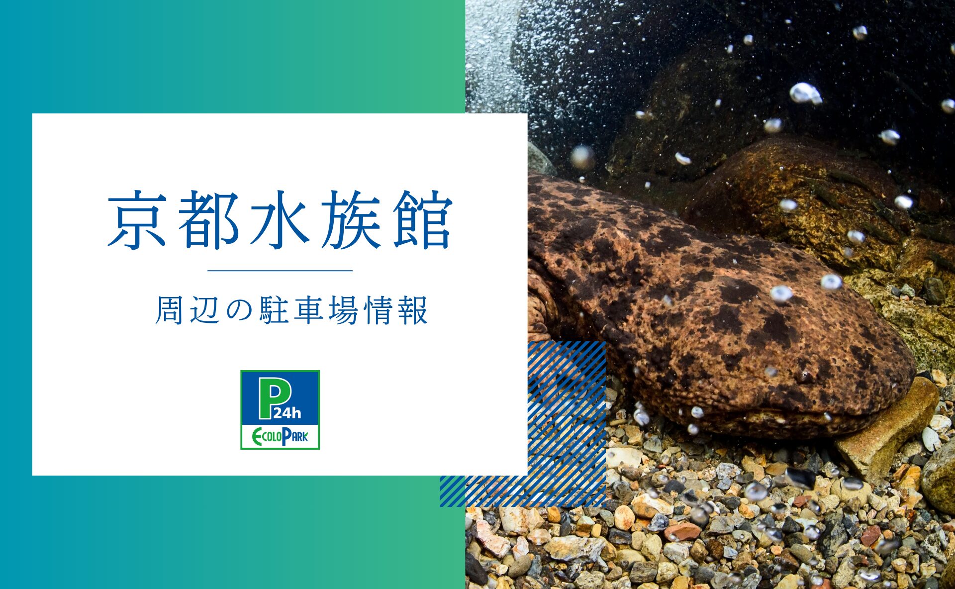 京都水族館」周辺の駐車場情報 | エコロパーク 駐車場経営・コインパーキング経営ならエコロパークへ